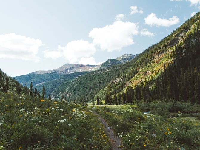Colorado
